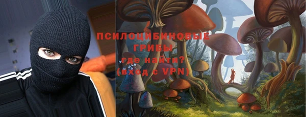 прущие крисы Алексин