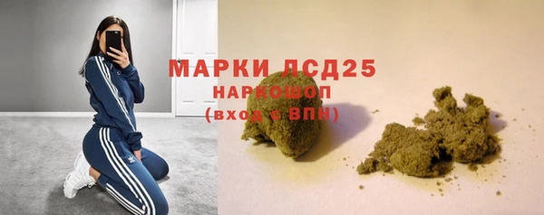 apvp Алзамай
