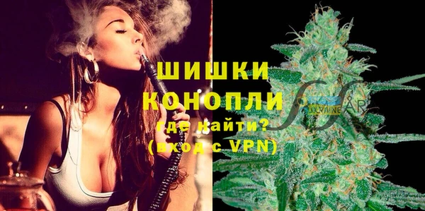 сатива Абаза