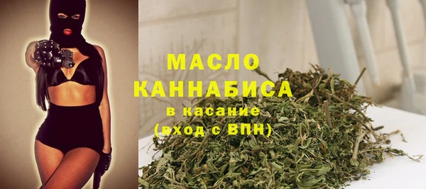 индика Осташков