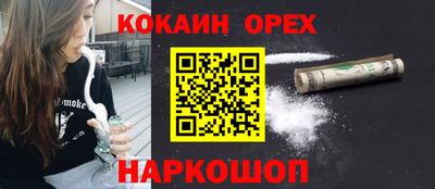 тгк Новодвинск