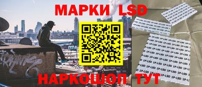 тгк Новодвинск