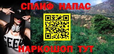 тгк Новодвинск