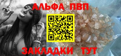 тгк Новодвинск