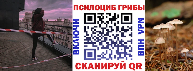 купить наркотики цена  ссылка на мегу ССЫЛКА  Галлюциногенные грибы прущие грибы  Уварово 