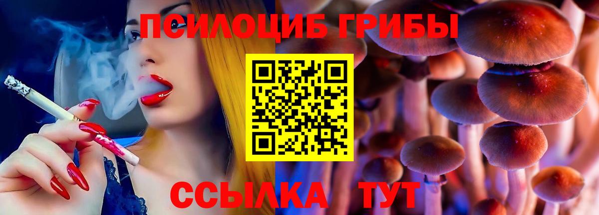 Псилоцибиновые грибы Psilocybine cubensis Уварово